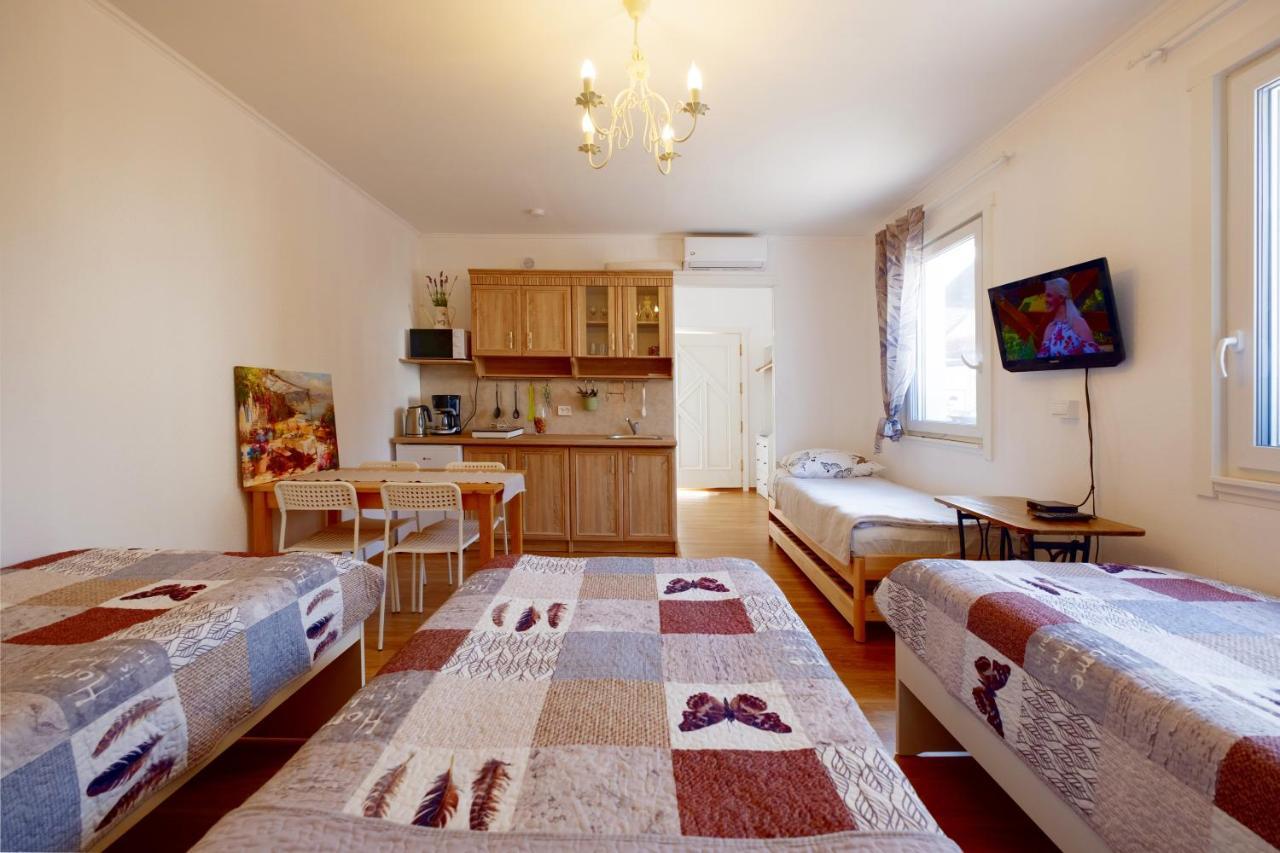 Eco-Lux Apart With Free Bicycles End Free Parking Любляна Екстер'єр фото