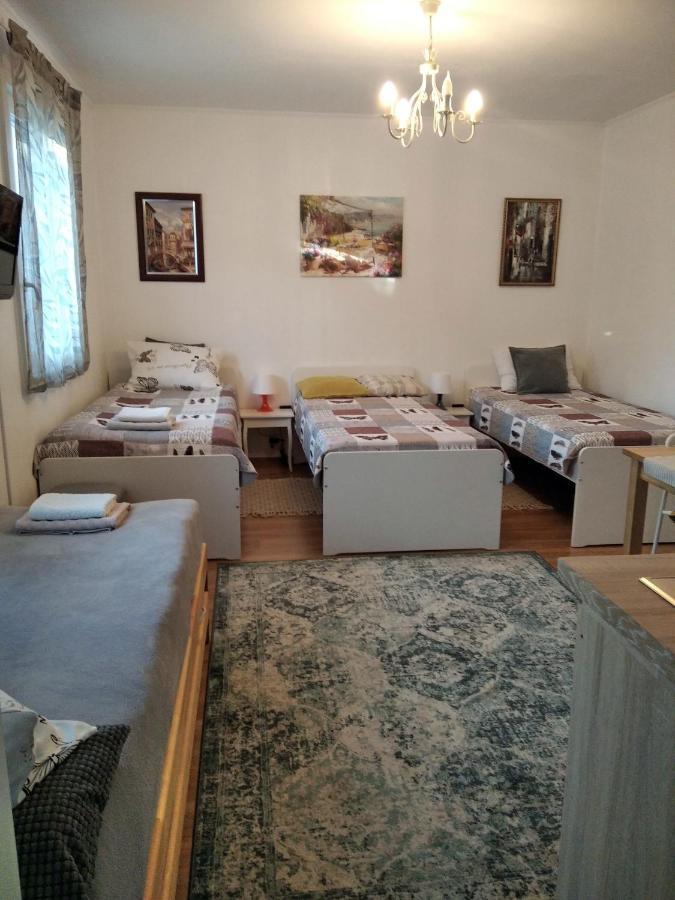 Eco-Lux Apart With Free Bicycles End Free Parking Любляна Екстер'єр фото