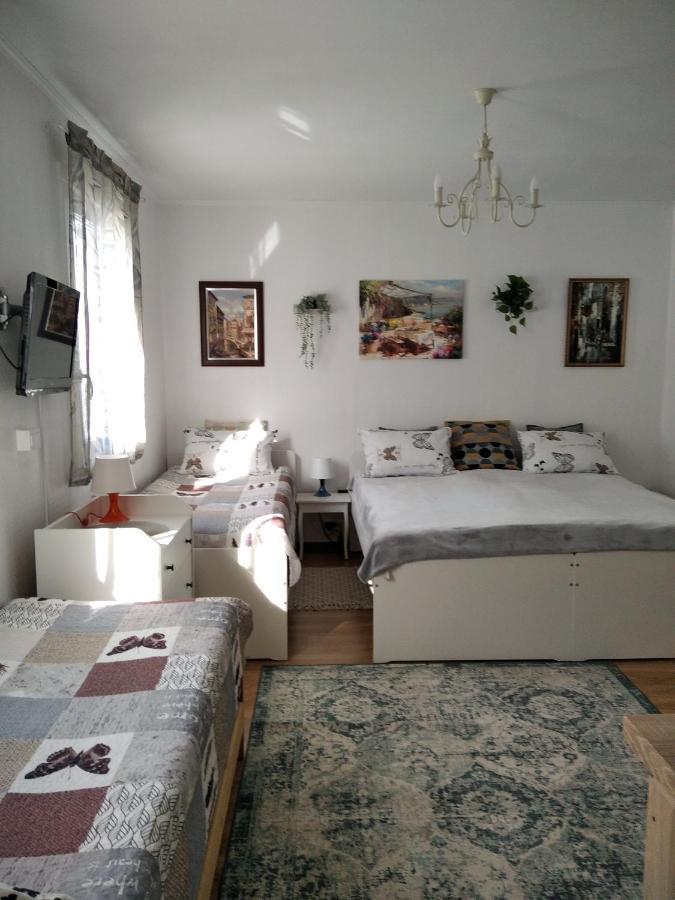 Eco-Lux Apart With Free Bicycles End Free Parking Любляна Екстер'єр фото