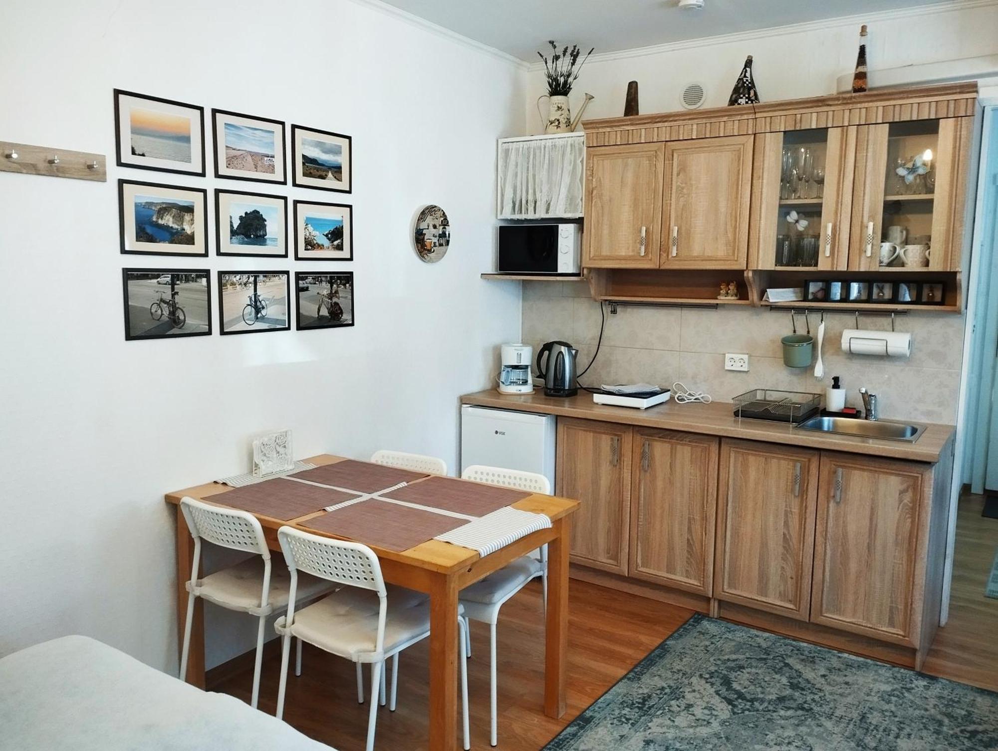 Eco-Lux Apart With Free Bicycles End Free Parking Любляна Екстер'єр фото