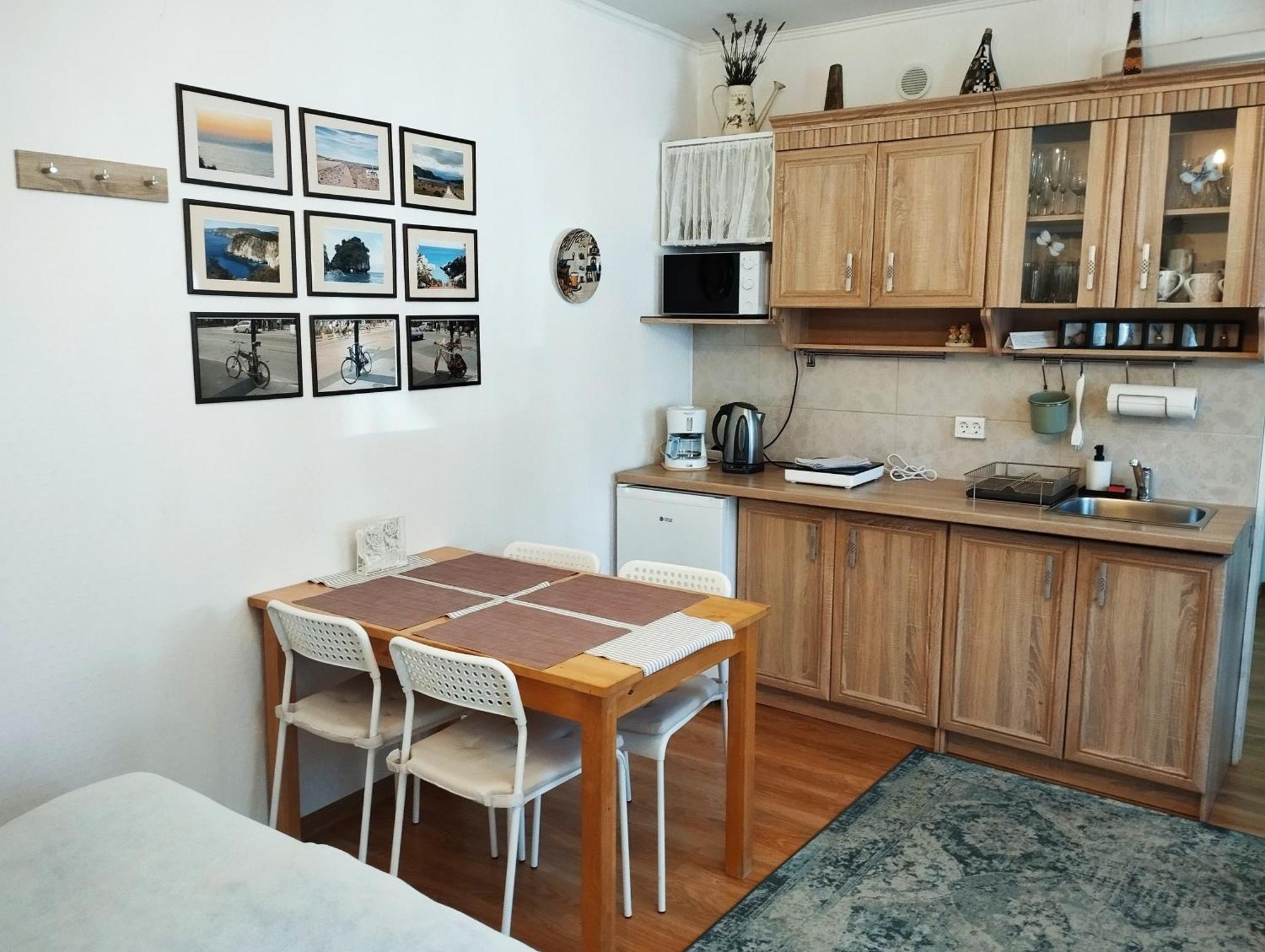 Eco-Lux Apart With Free Bicycles End Free Parking Любляна Екстер'єр фото